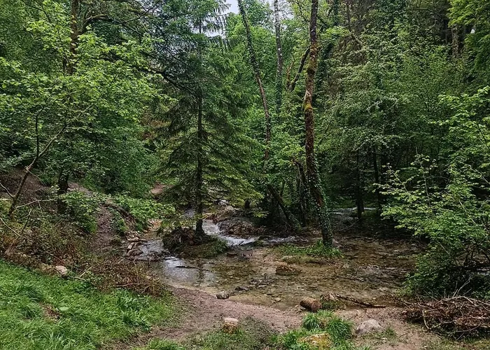 Le Beauregard