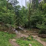 Le Beauregard
